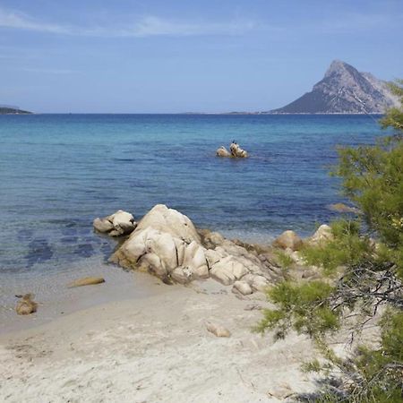 Appartamento Mare Olbia - Murta Maria المظهر الخارجي الصورة